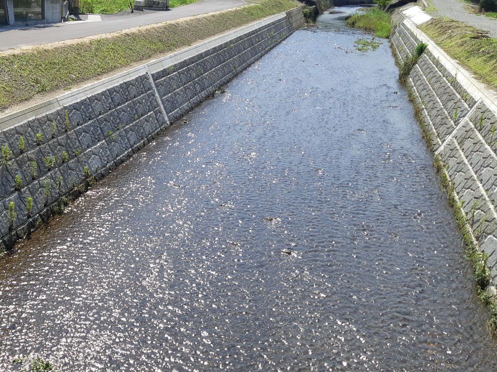 ブロック
